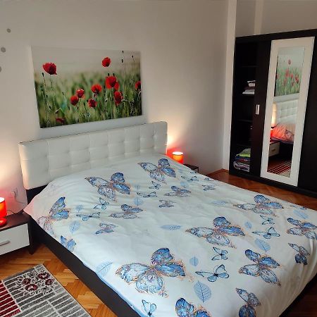 Lovely 1 Bedroom Apartment In City Centre, Sleeps 4 ! Турда Екстер'єр фото